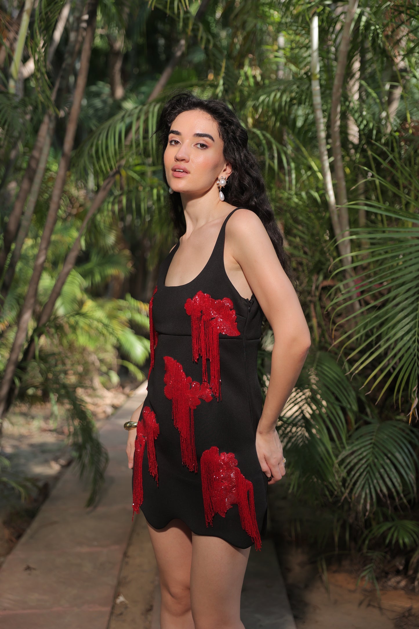 Velvet Rose Dress