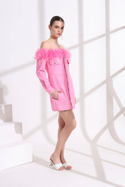 Rosalinda Feather Dress
